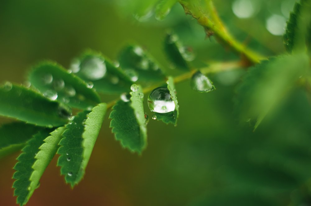 Photograph by Ирина Летунова