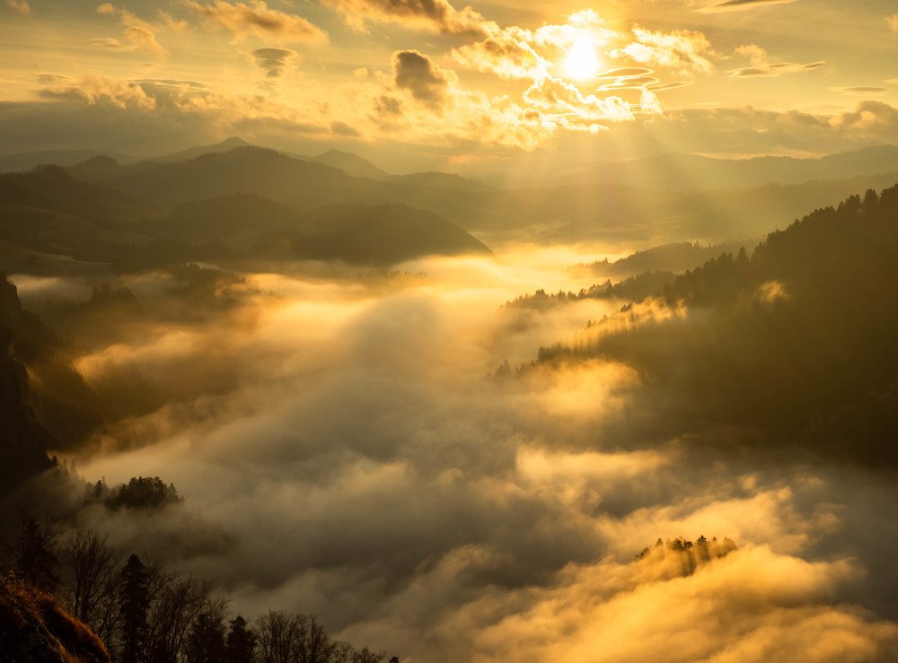 Photograph by Tomek Podolski