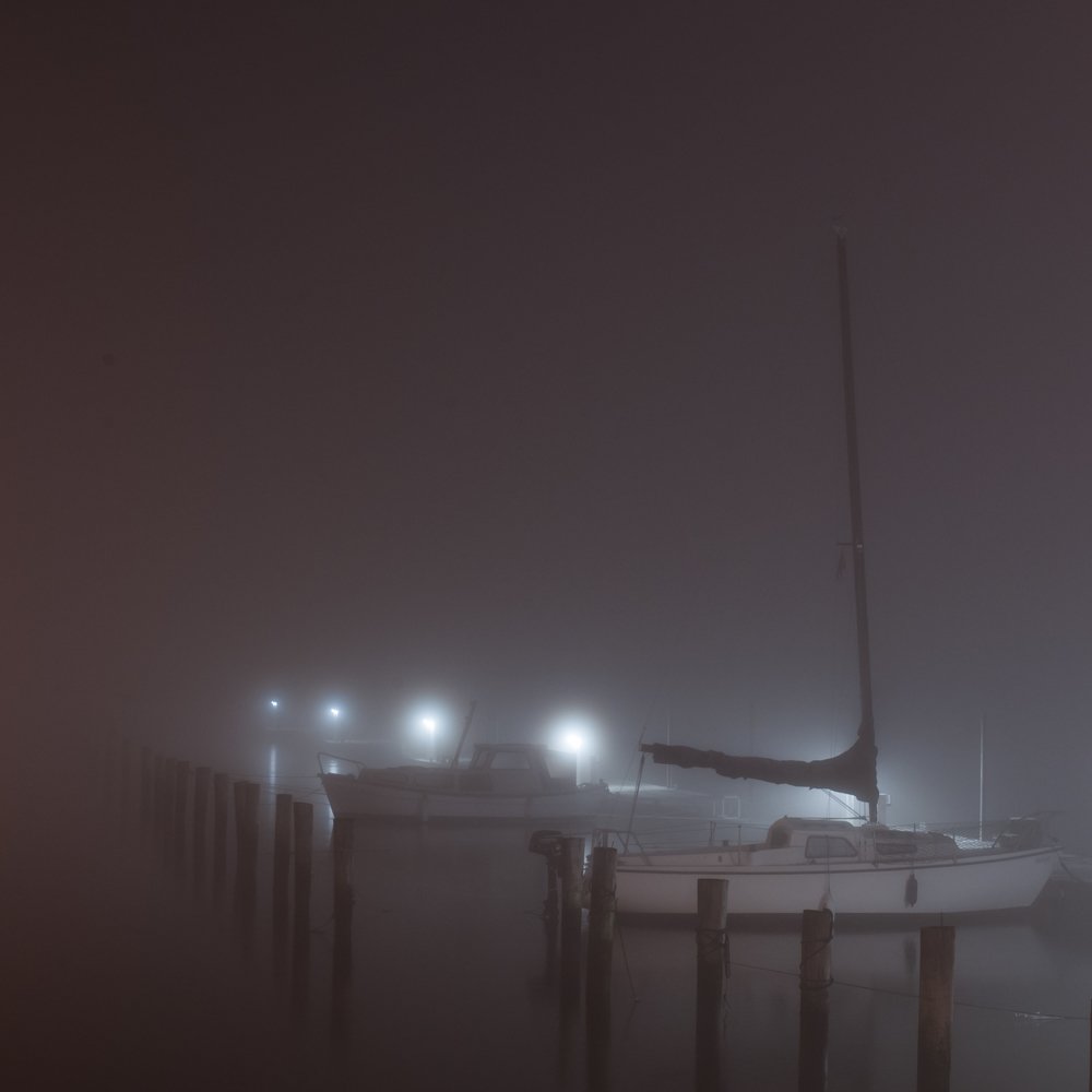 Fog in a harbor