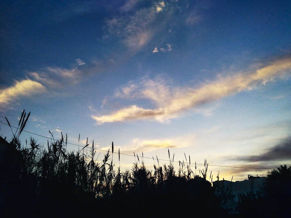 Photograph by Ouais Vivo