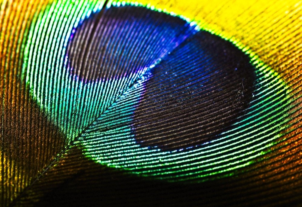 Photograph by Chantale Rivard