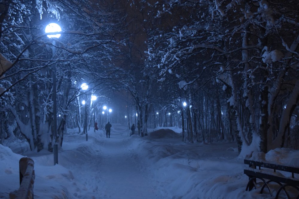 Фонари в парке зимой
