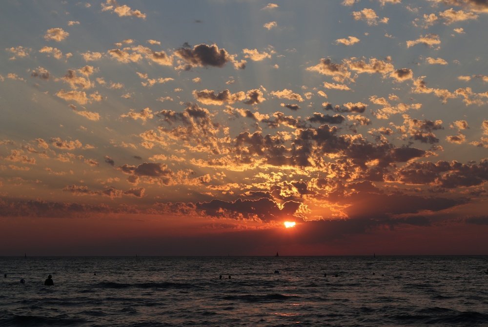 Photograph by Мария Баннова