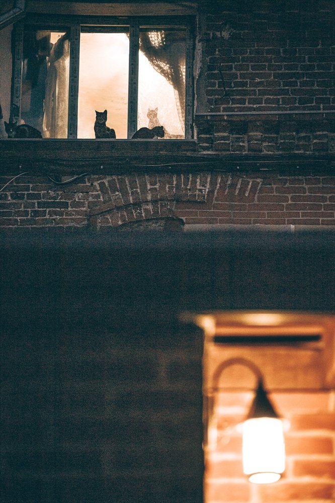 Photograph by Андрей Кровлин