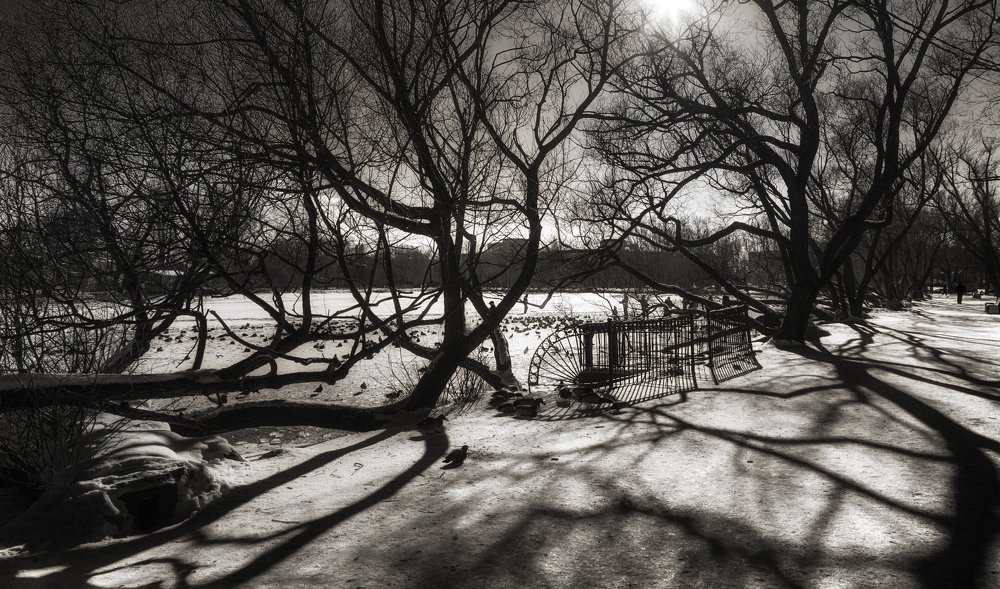 Солнечные тени