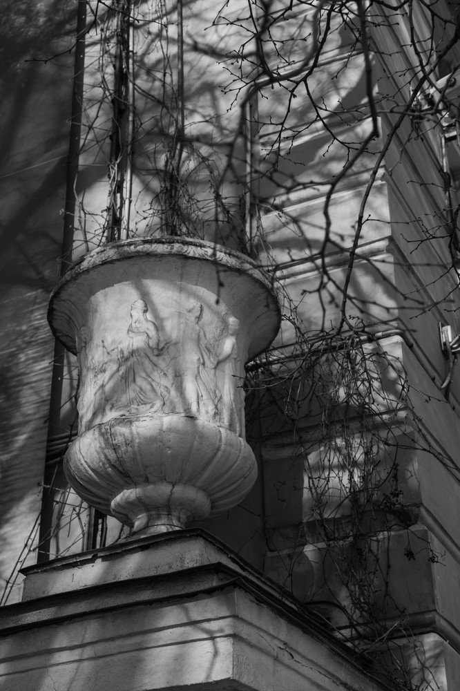 Photograph by Marie Dashkova