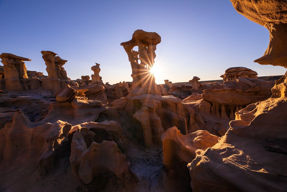 Photograph by Lana Anferow