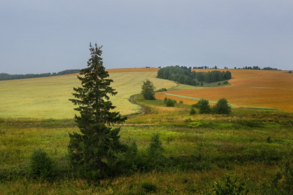 Photograph by Дмитрий Алексеев