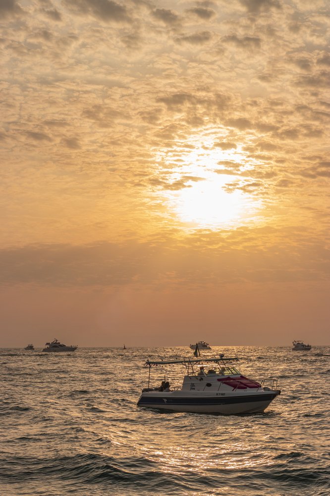 Photograph by Bhupendra Bagla