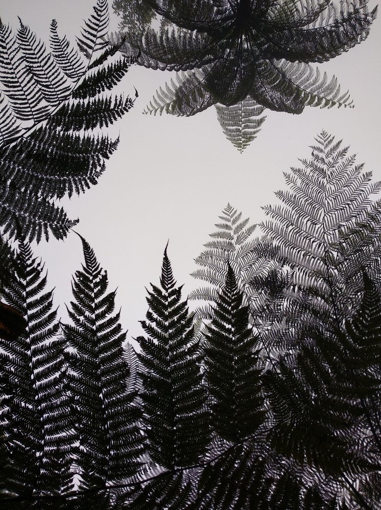 Photograph by Елена Измайлова