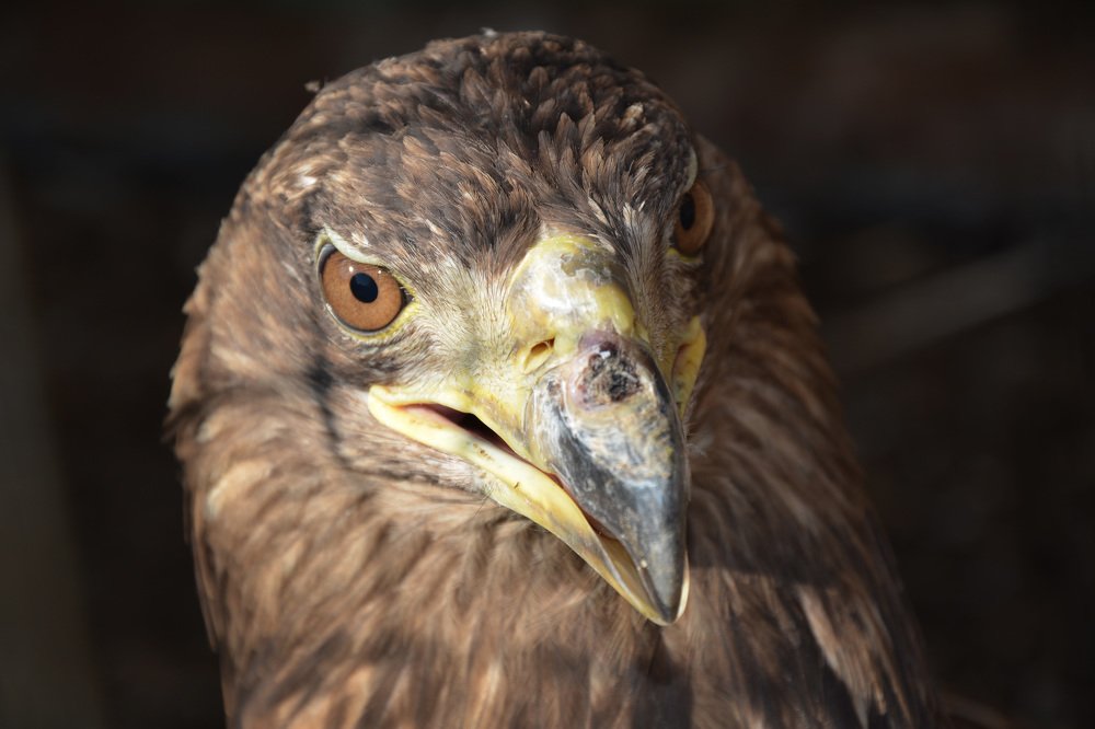 Photograph by Татьяна Кабанец