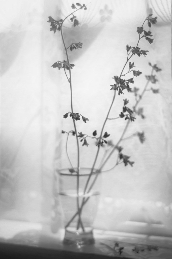 Photograph by Ольков Илья