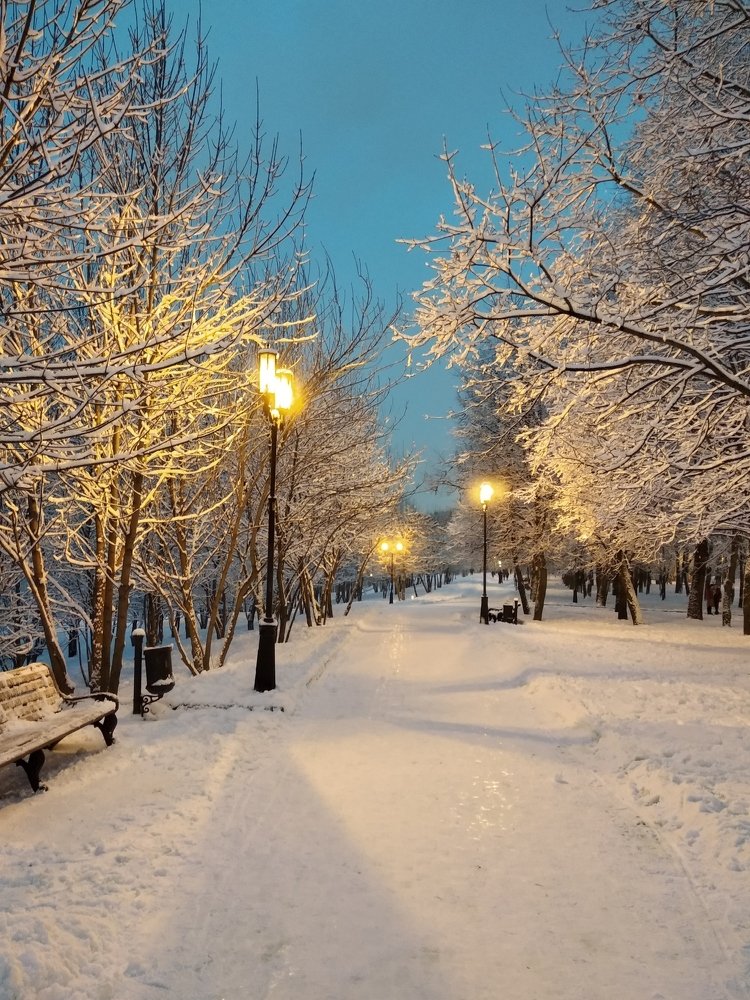 Фотография автора Татьяна Еськина