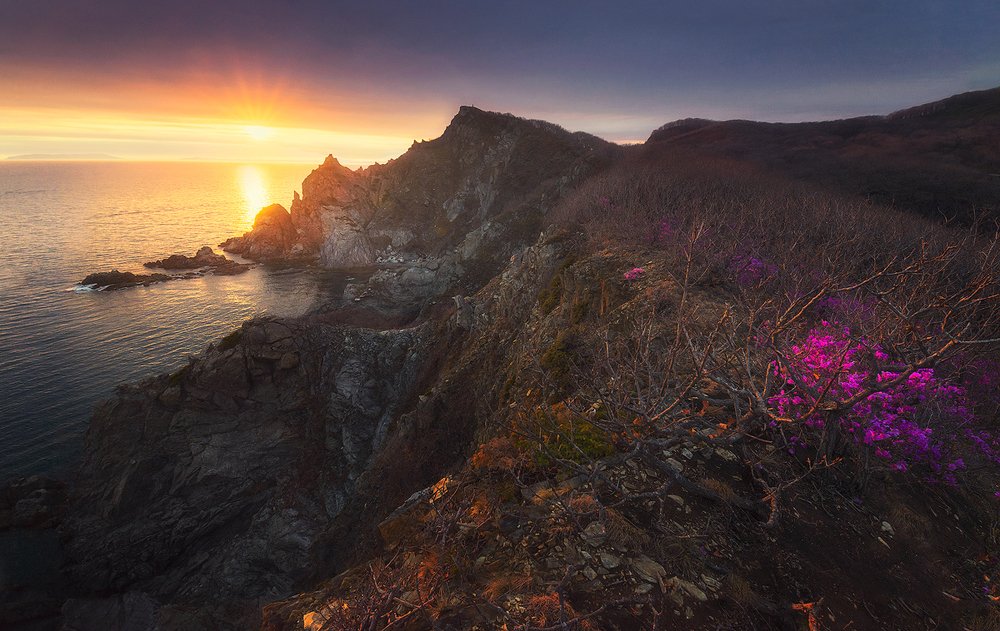 Фотография автора Дмитрий Подкопаев