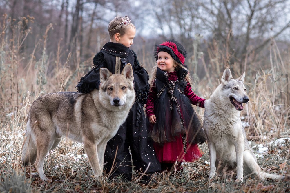 Photograph by Наталья Петренко