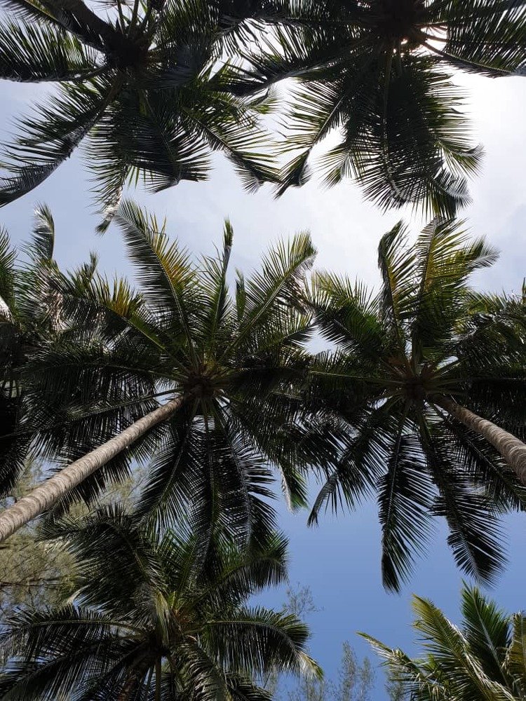 Photograph by Varshini Rajentiran