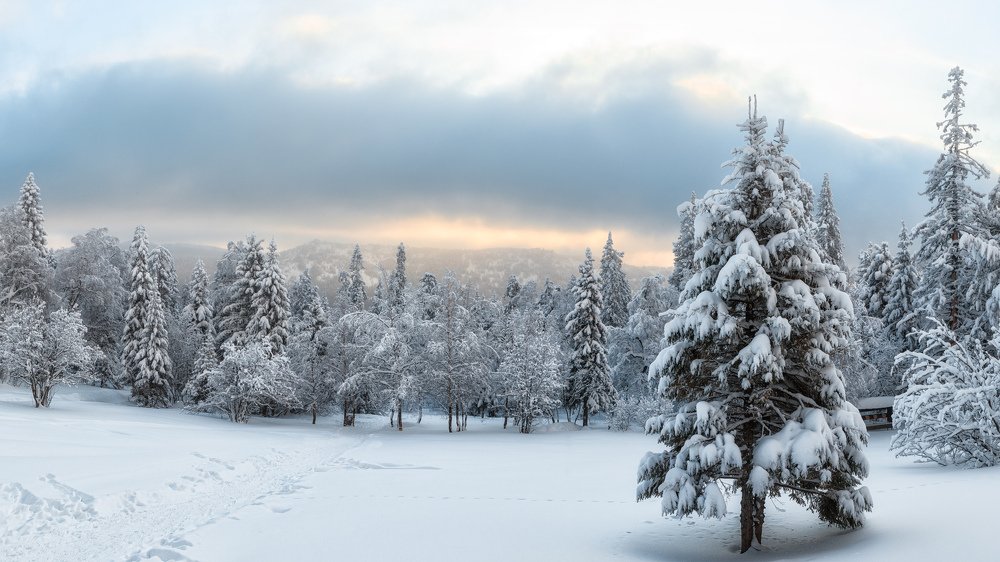 Photograph by Вячеслав Болякин