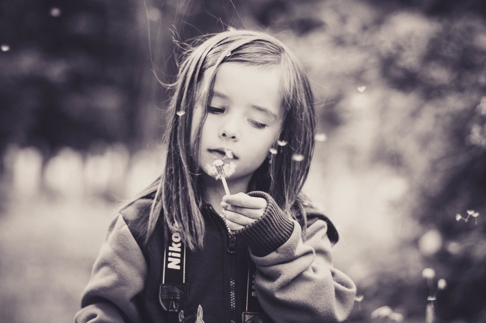 Photograph by Thomas Gutschi