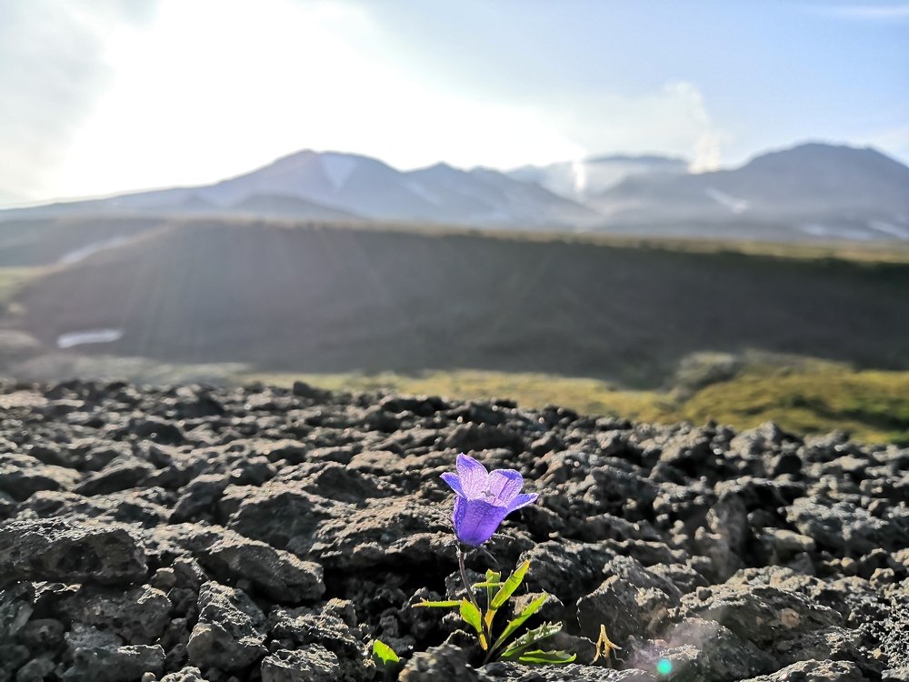 Photograph by Андрей Тюликов