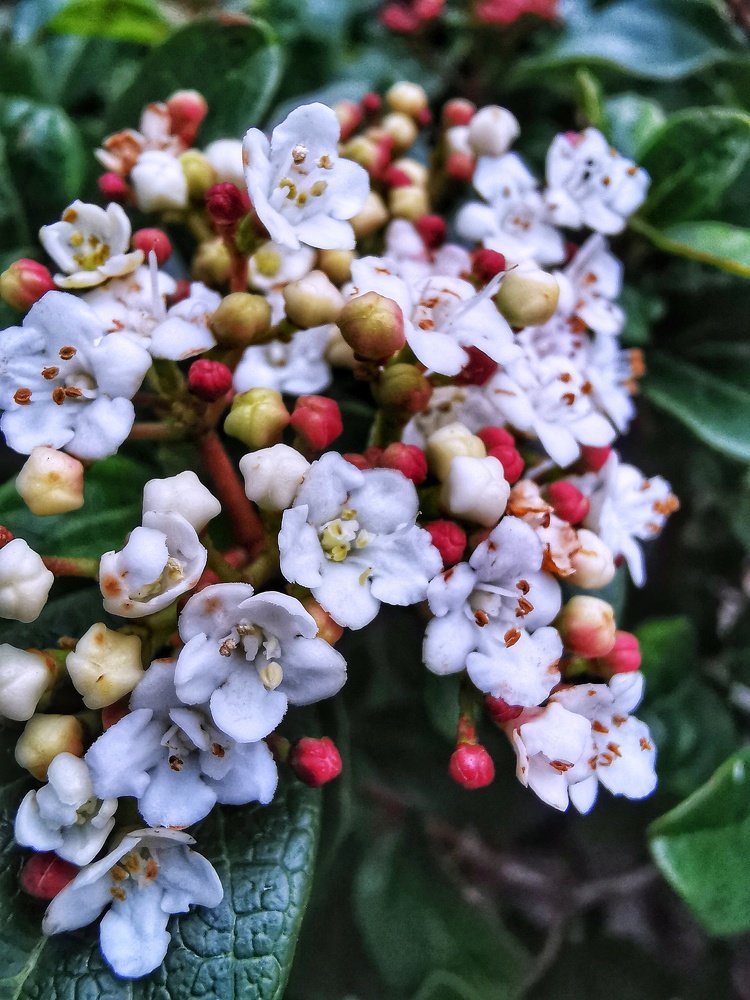 Photograph by Нина Дорожинская