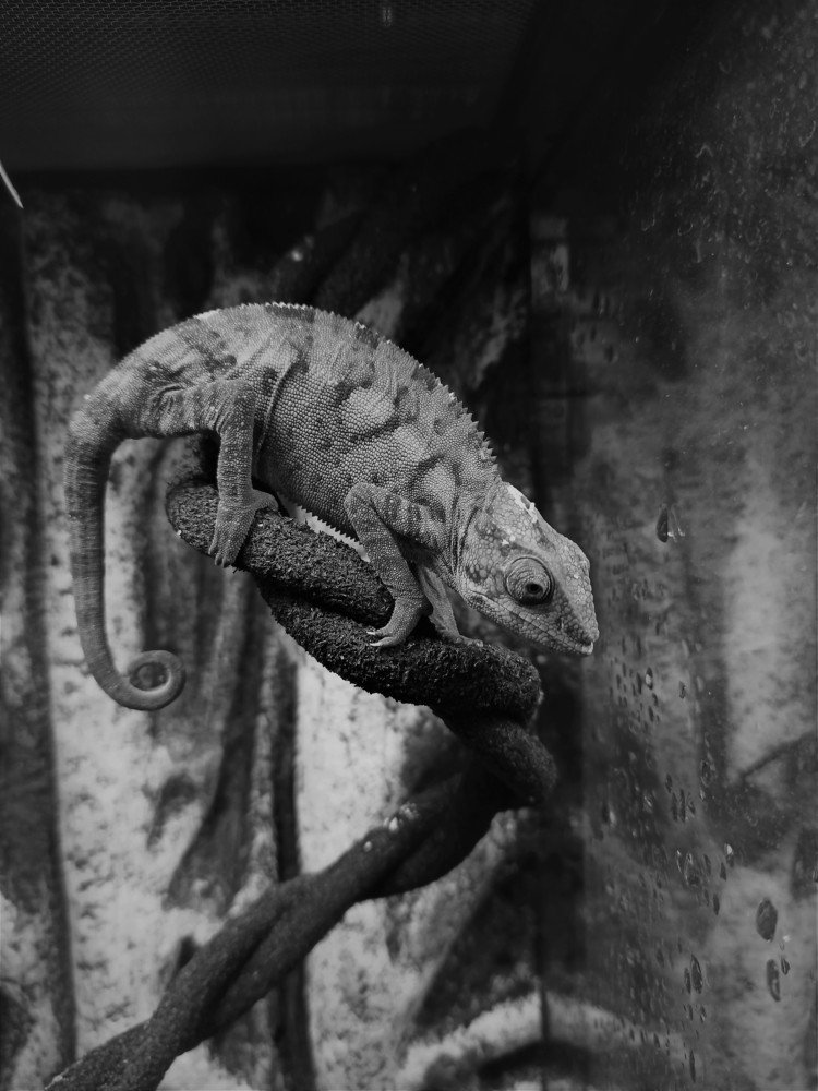 Photograph by Сергей Лобозов