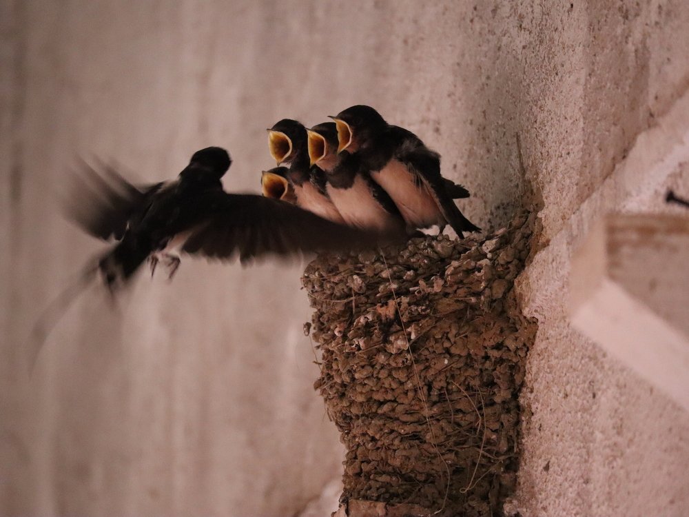 Photograph by Дарья Попова