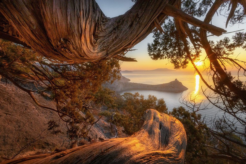 Photograph by Александр Костенко