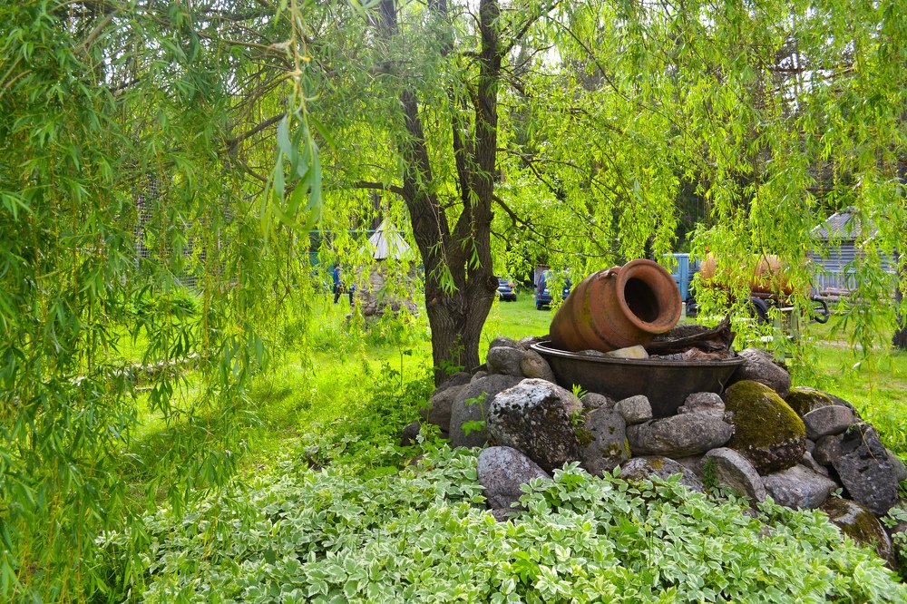 Photograph by Мария Лаврентьева