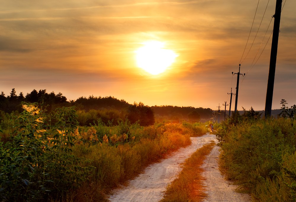 Photograph by Андрей Алсуфьев