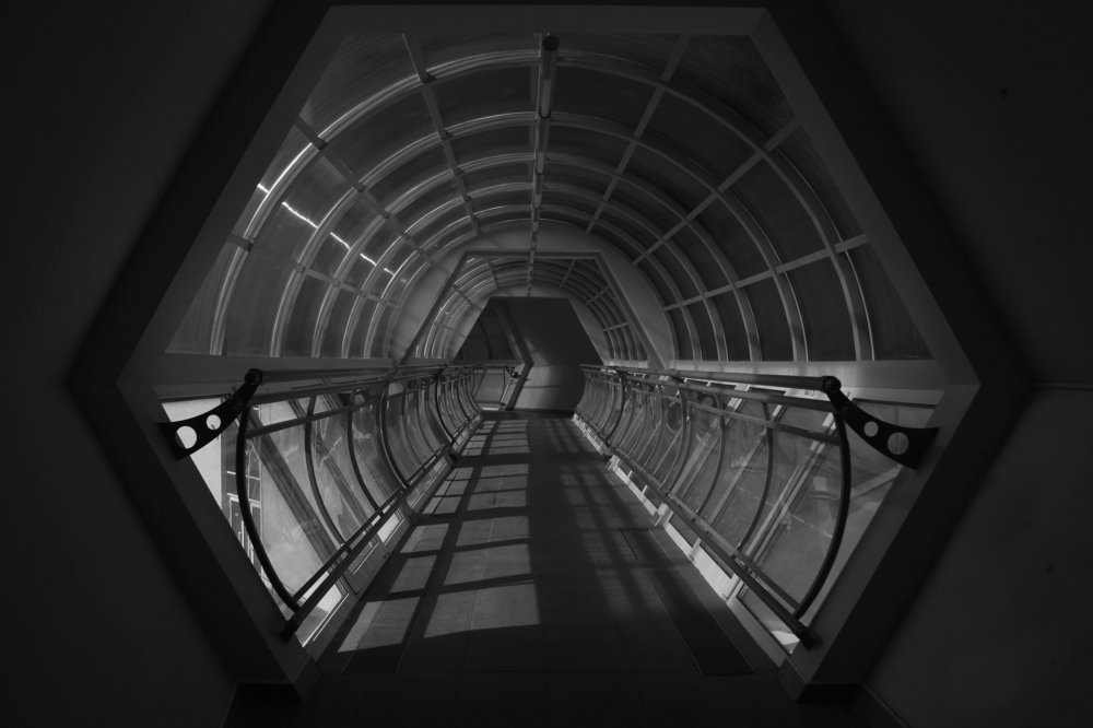 Фотография автора Рамиль Фаттахов