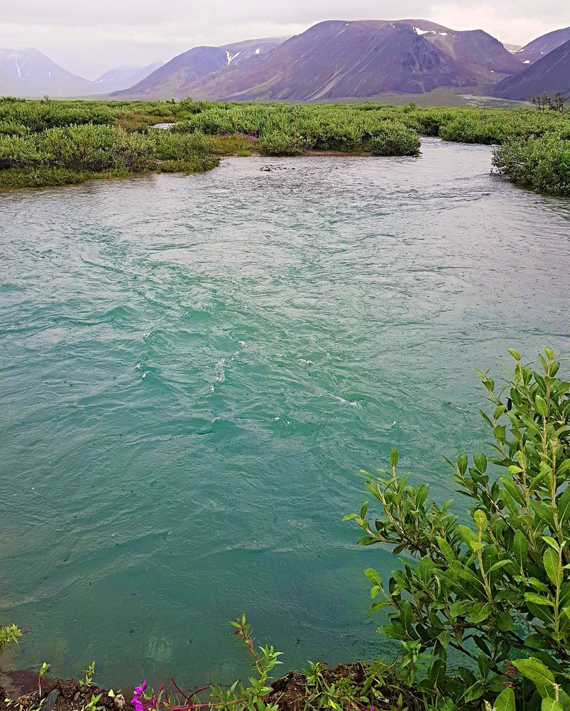 Photograph by Екатерина Передерий