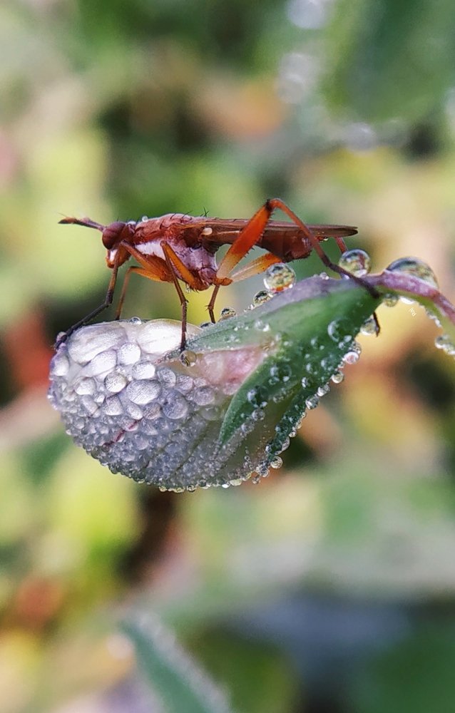 Photograph by Raj Purkait Raj