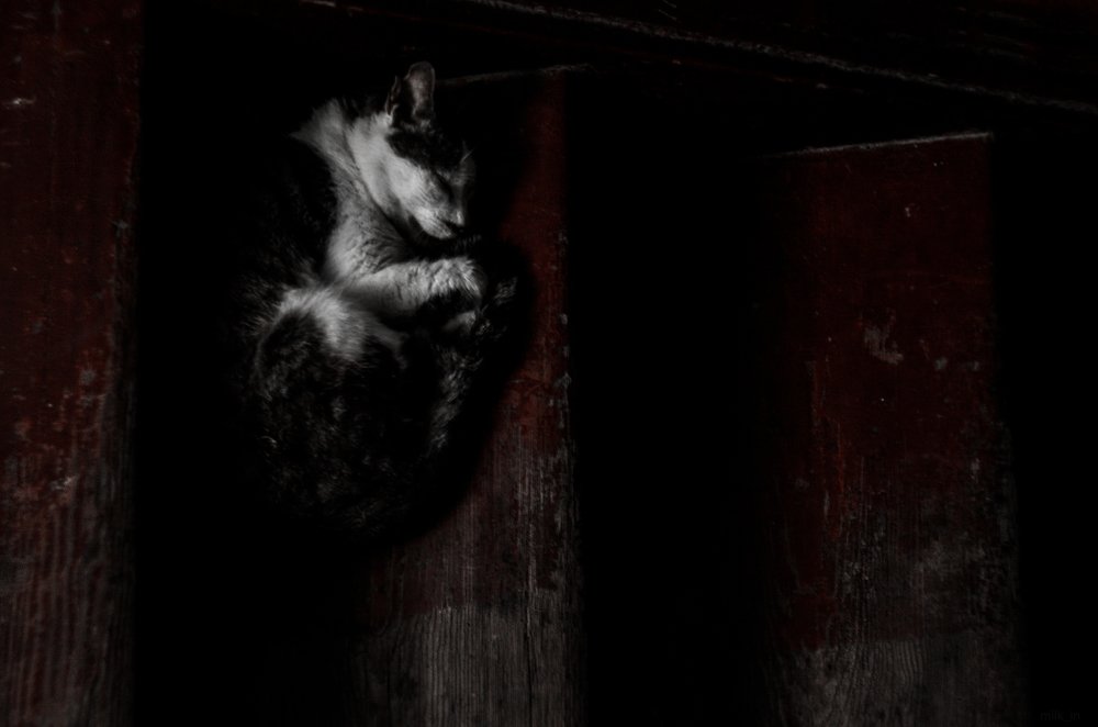 Photograph by Павел Милкин