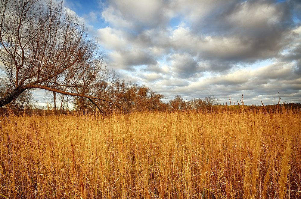 Photograph by Сергей Калинин
