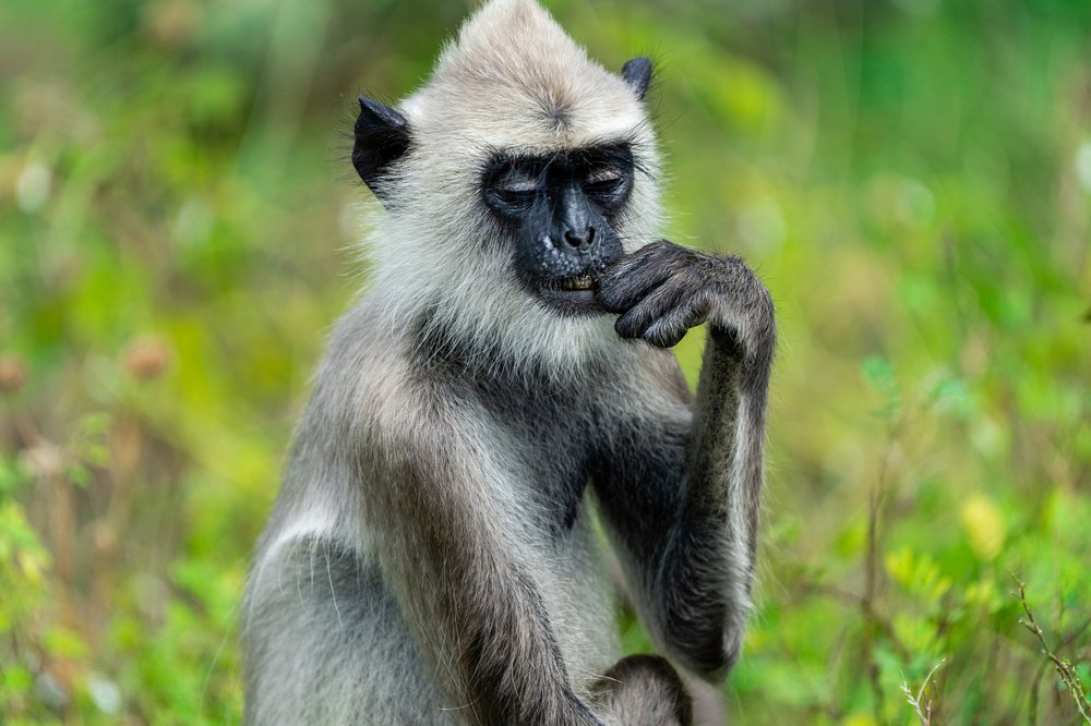 Photograph by MANSOUR ALOBAIDI