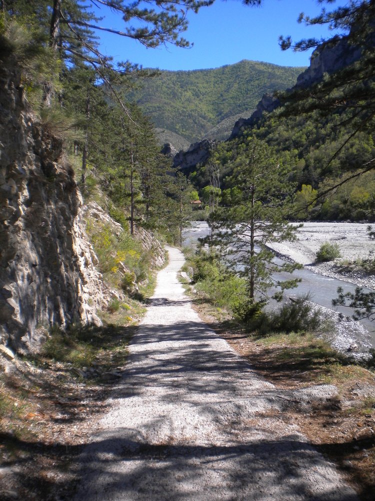 Photo #4274902
