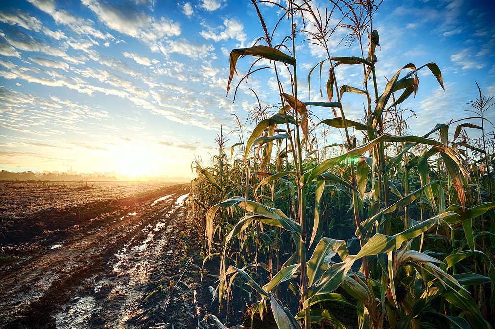 Photograph by Сергей Калинин