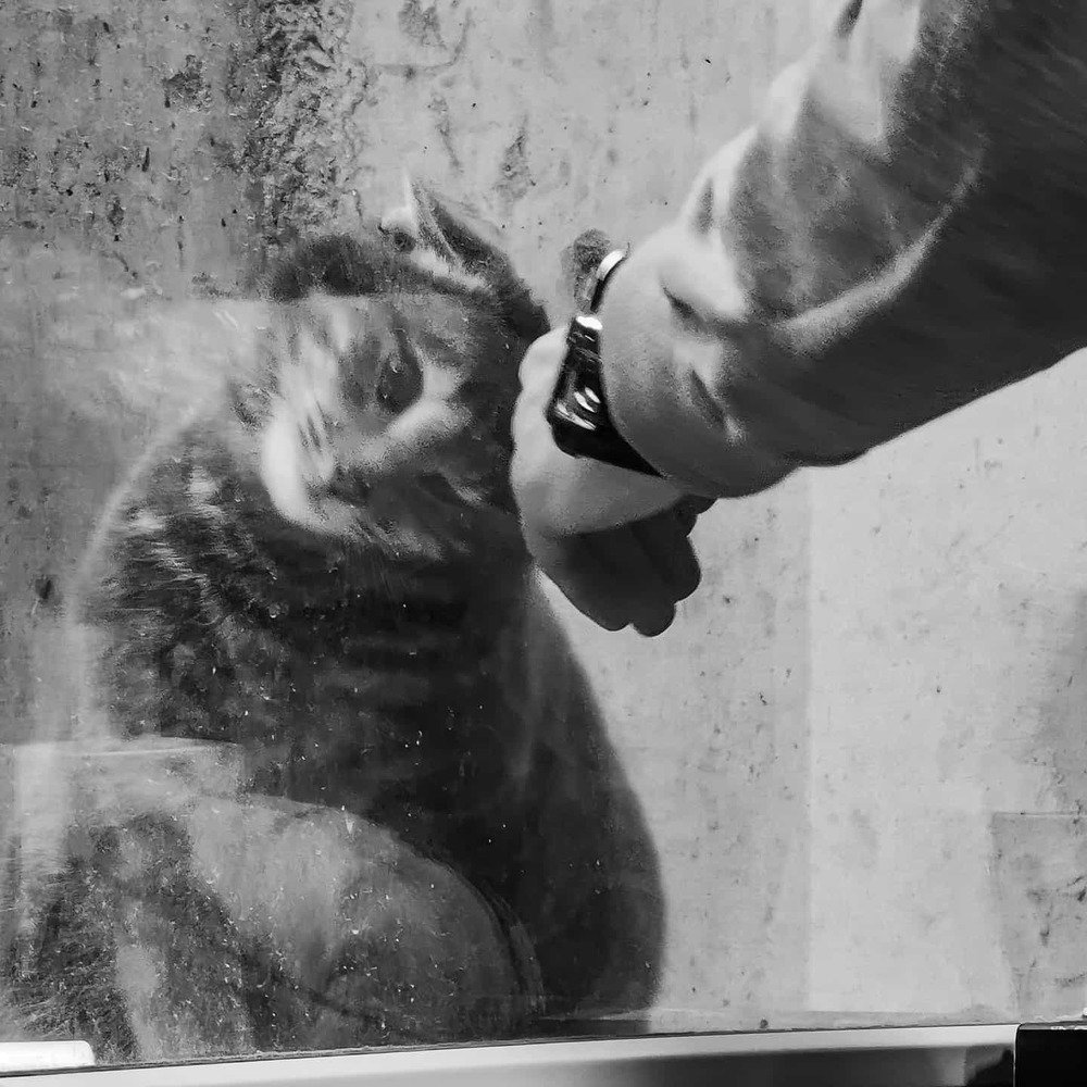 Они тоже хотят тепла