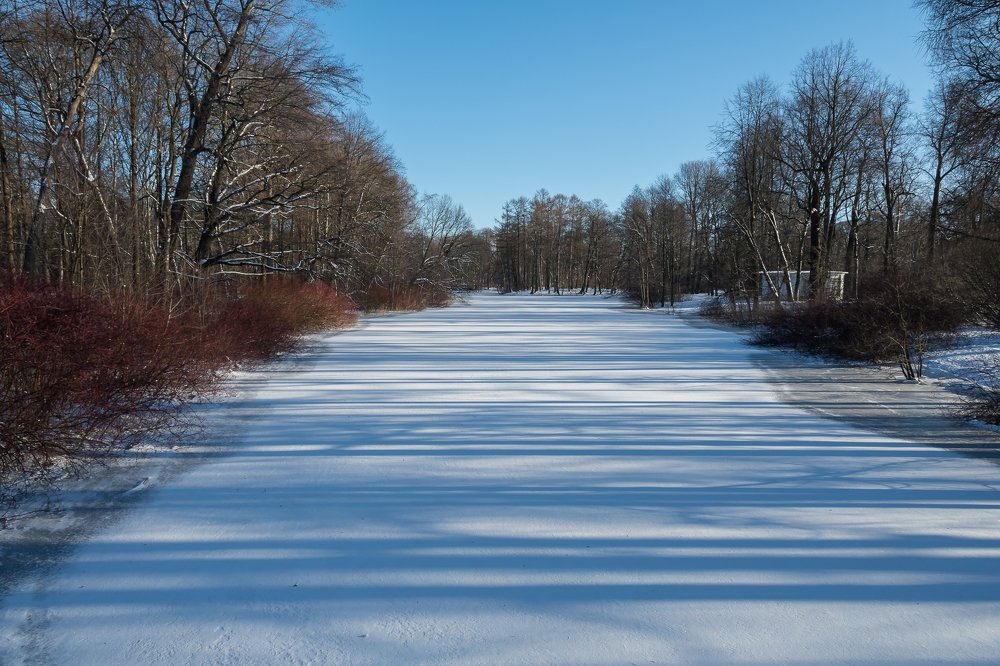 Фотография автора Андрей Симонов