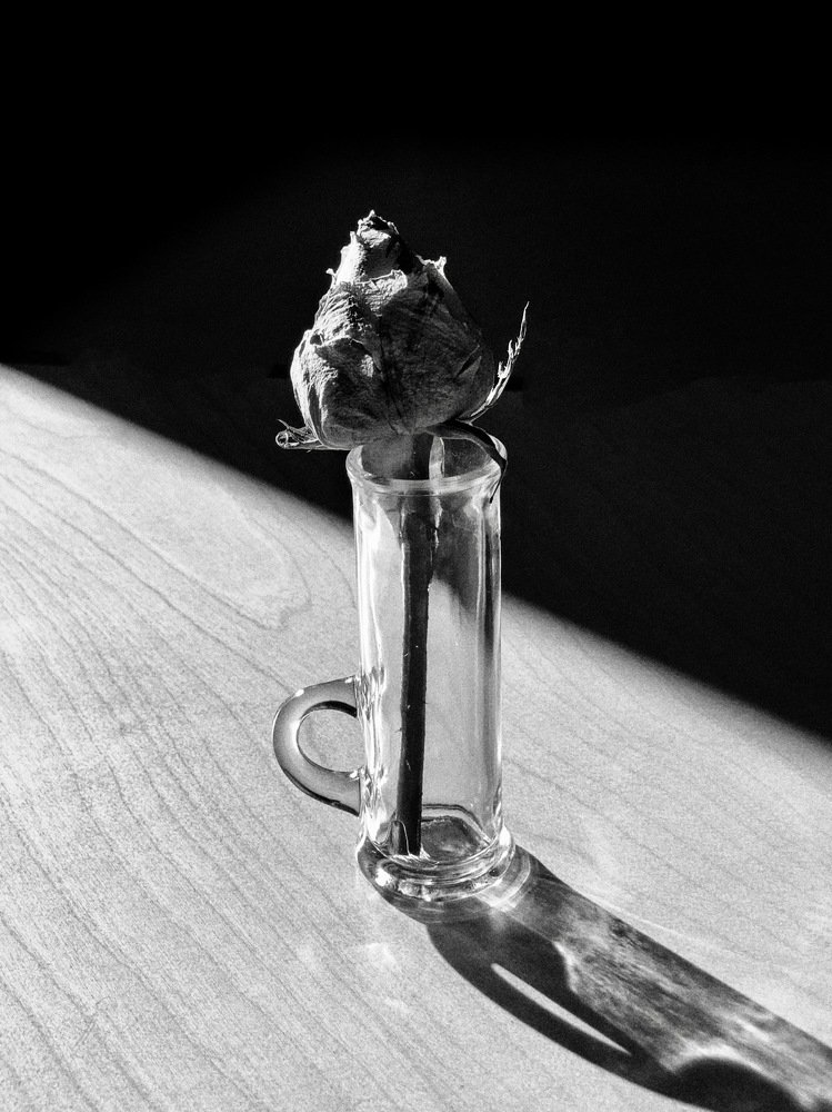 Photograph by Марина Неберекутина