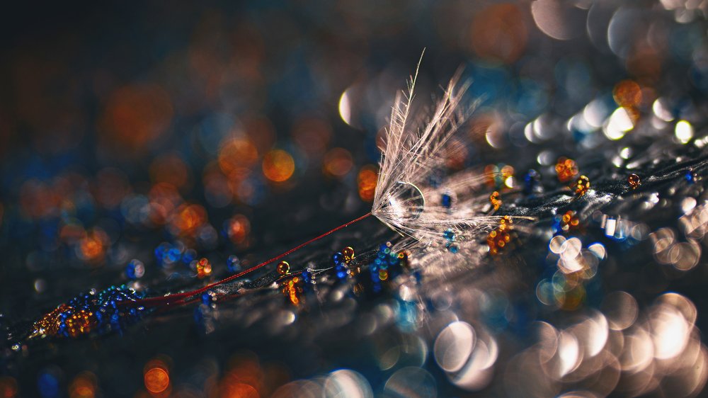 Фотография автора Андрей Сосновский