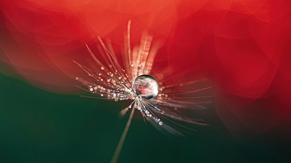 Фотография автора Андрей Сосновский