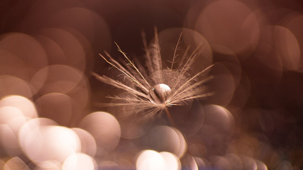 Фотография автора Андрей Сосновский