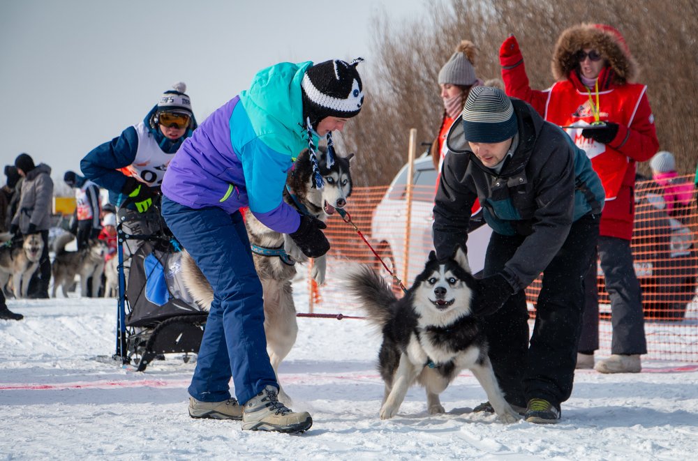 Photograph by Ирина Фастовец