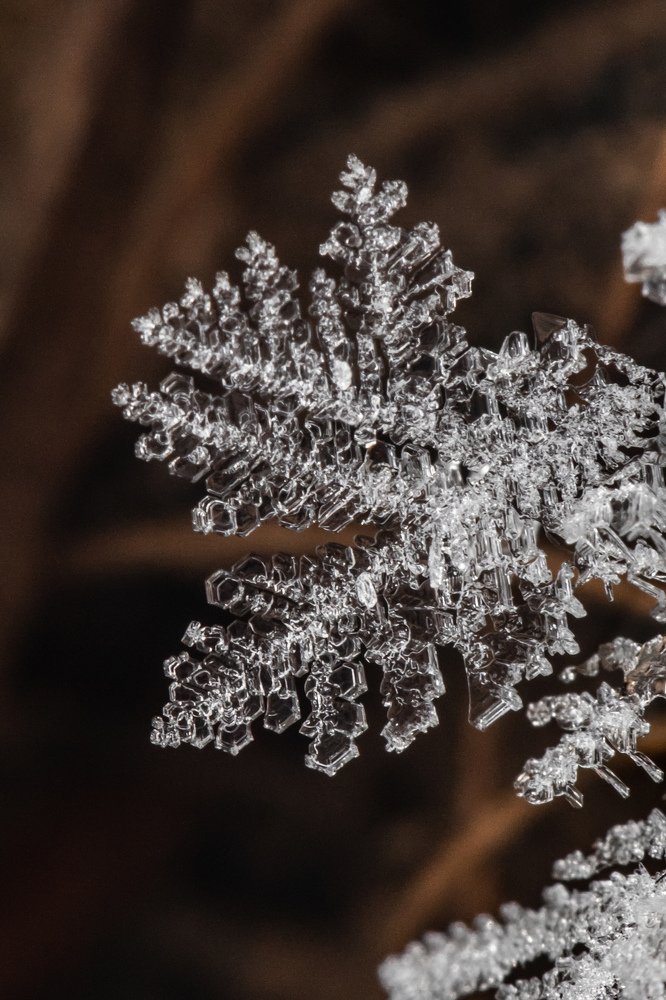 Фотография автора Мария Сурмачева
