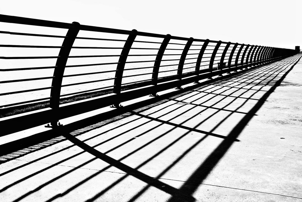 Photograph by Sax Palumbo