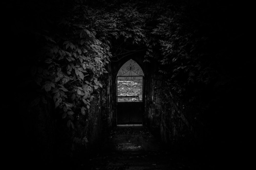 Photograph by Pedro Marques