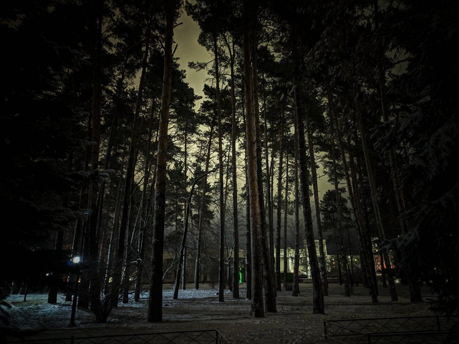 Photo #4275345