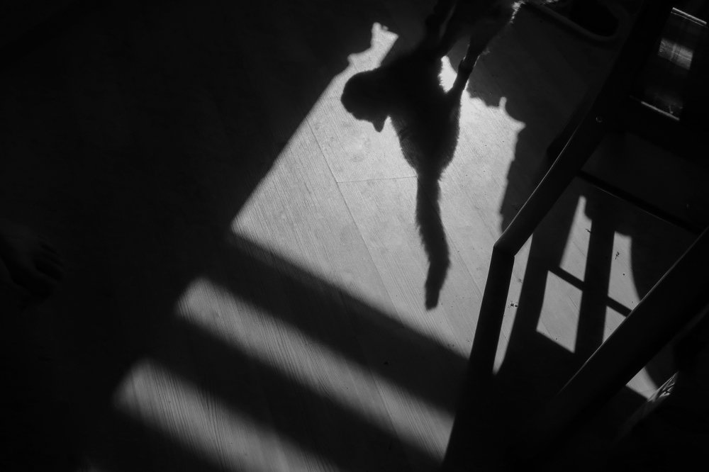 Photograph by Людмила Казак