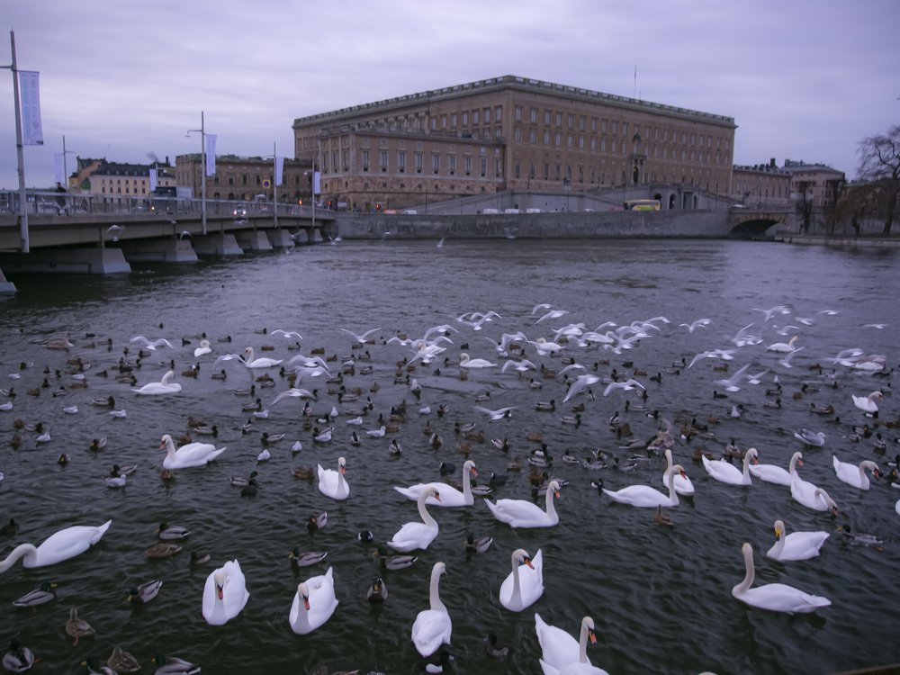 Photograph by Liudmila Drake